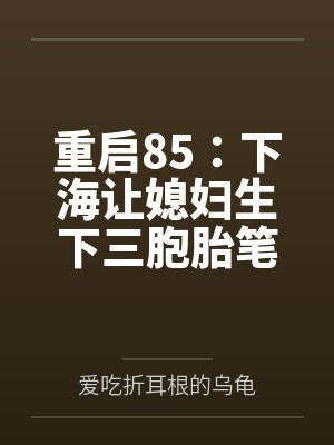 重启85：下海让媳妇生下三胞胎笔趣阁无弹窗