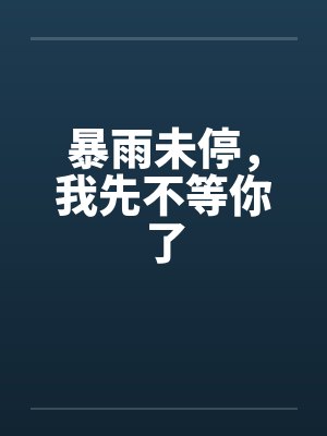 暴雨未停,我先不等你了 暴雨未停,我先不等你了